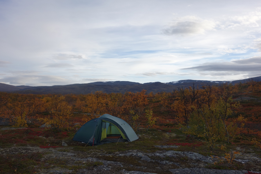 Herbst am Tornetraesk