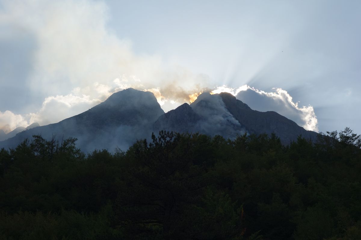 Die Hitze bringt uns zum Schwitzen und die Wälder zum Brennen