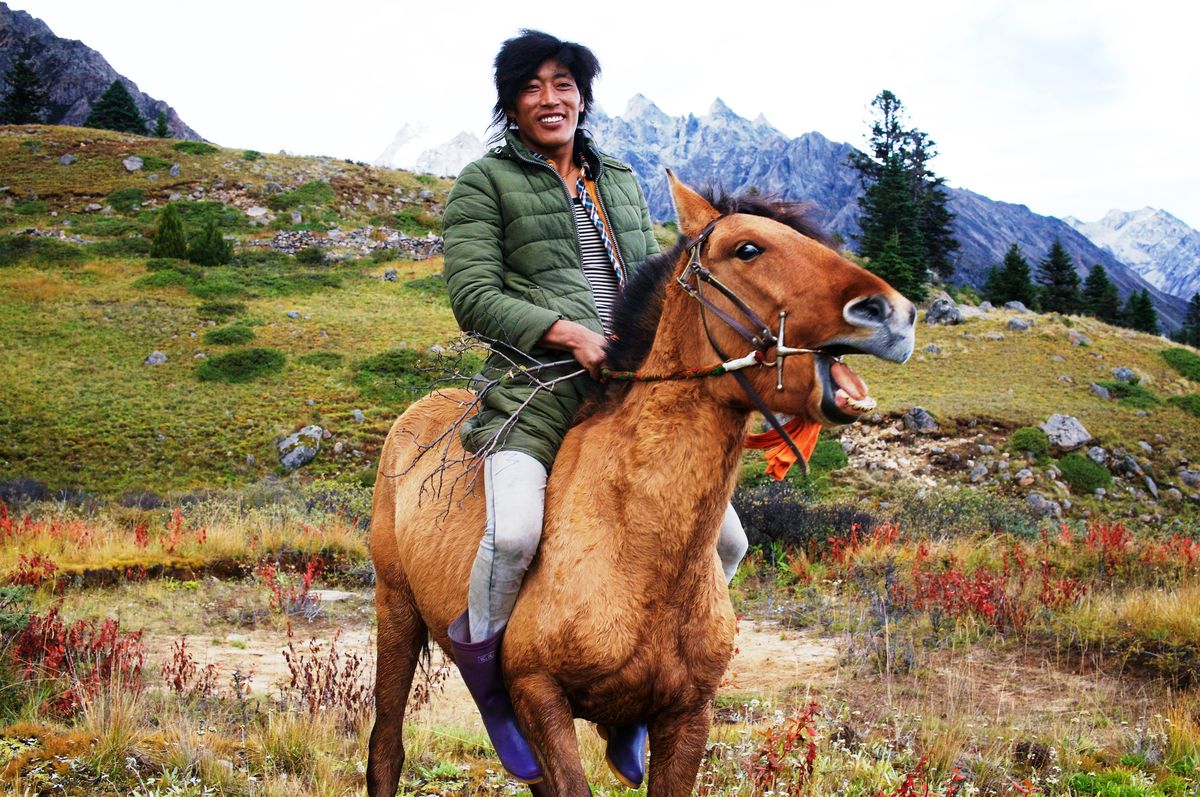 Ein tibetischer Cowboy im Hochland