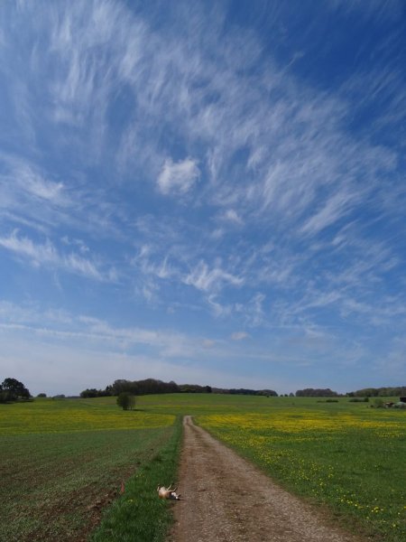 Das tolle Wetter sorgte für Wohlgefühl