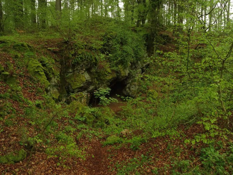 Höhle am Rother Kopf – näher kam ich ihr nicht