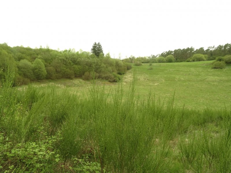 Trockenmaar und Vulkankrater Papenkaule