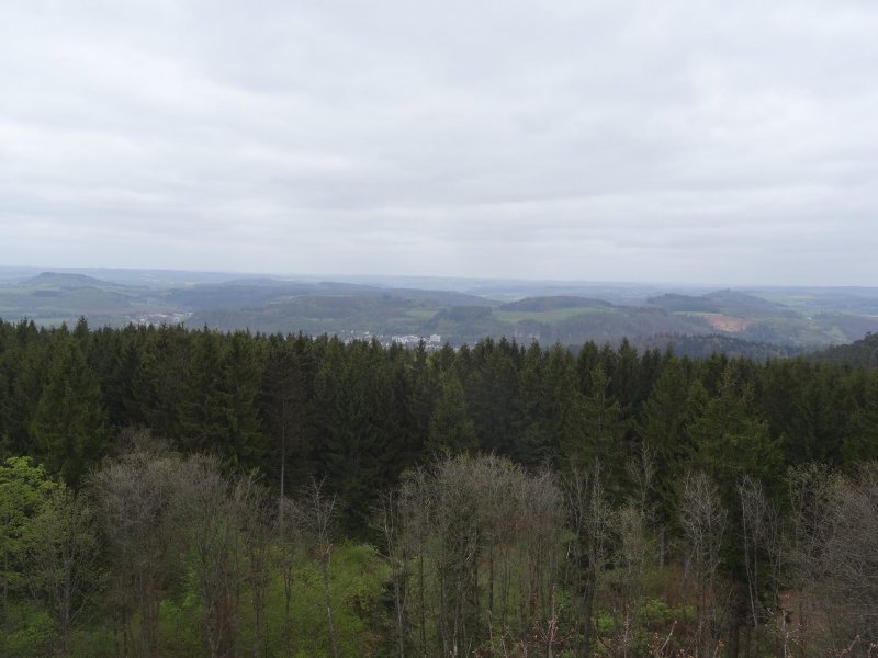 Eifel-Aussicht