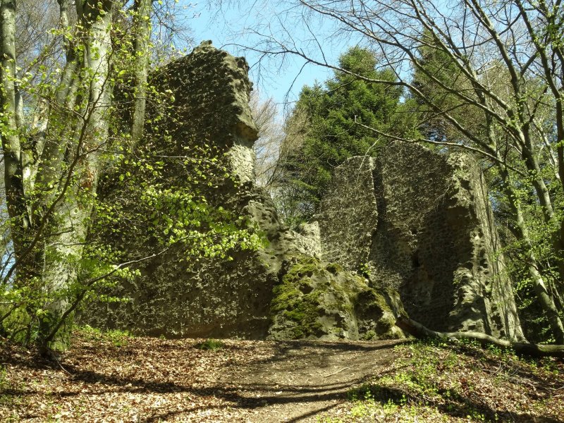 Burg Freudenkoppe – aus Vulkangestein erbaut!