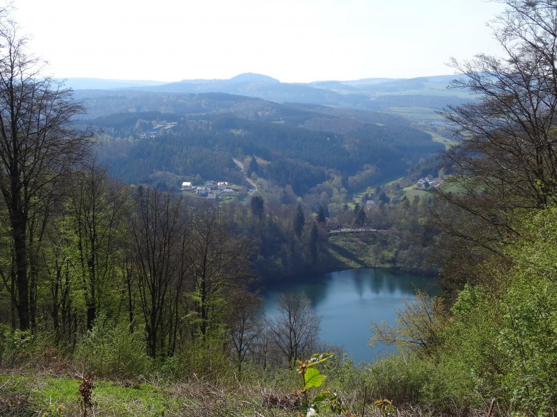 Blick von Mäuseberger Aussichtsturm auf das Gemünder Maar
