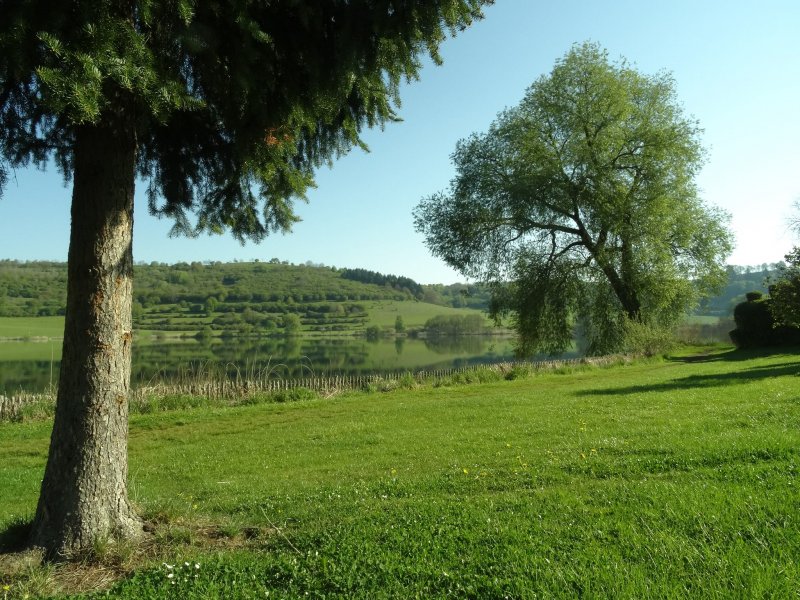 Morgenromantik am Schalkenmehrer Maar