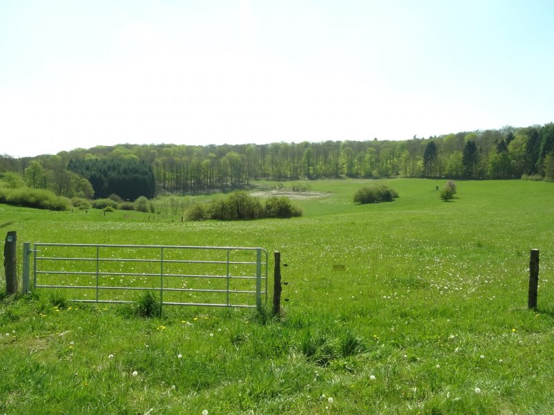 Ein weiteres Trockenmaar