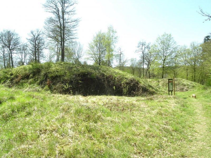 Ruine Geißenburg besticht zwar nicht durch viel Gemauertes, aber mächtige Wälle
