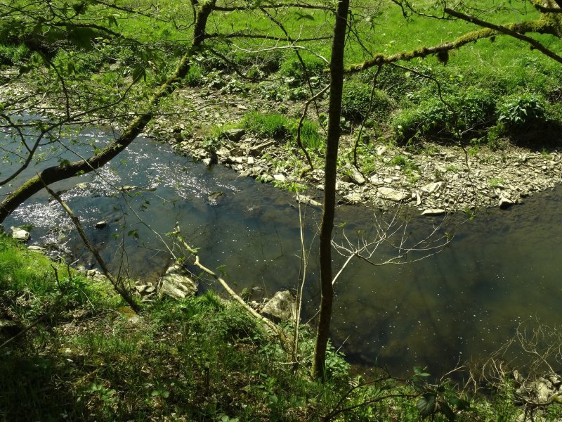 Ein typischer Blick auf die Lieser