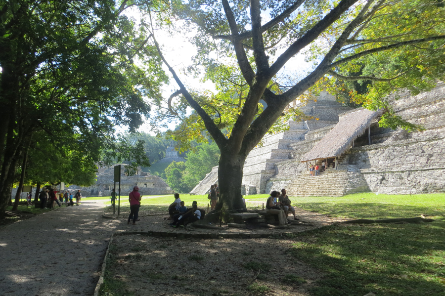 …und kühlender Schatten