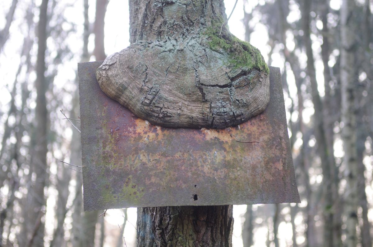 Irgendwas war hier verboten.