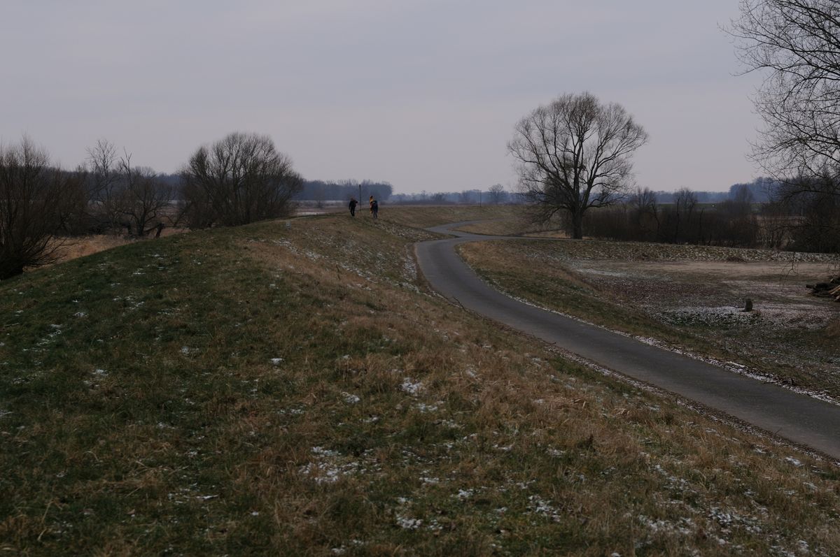 Dunkle Gestalten.