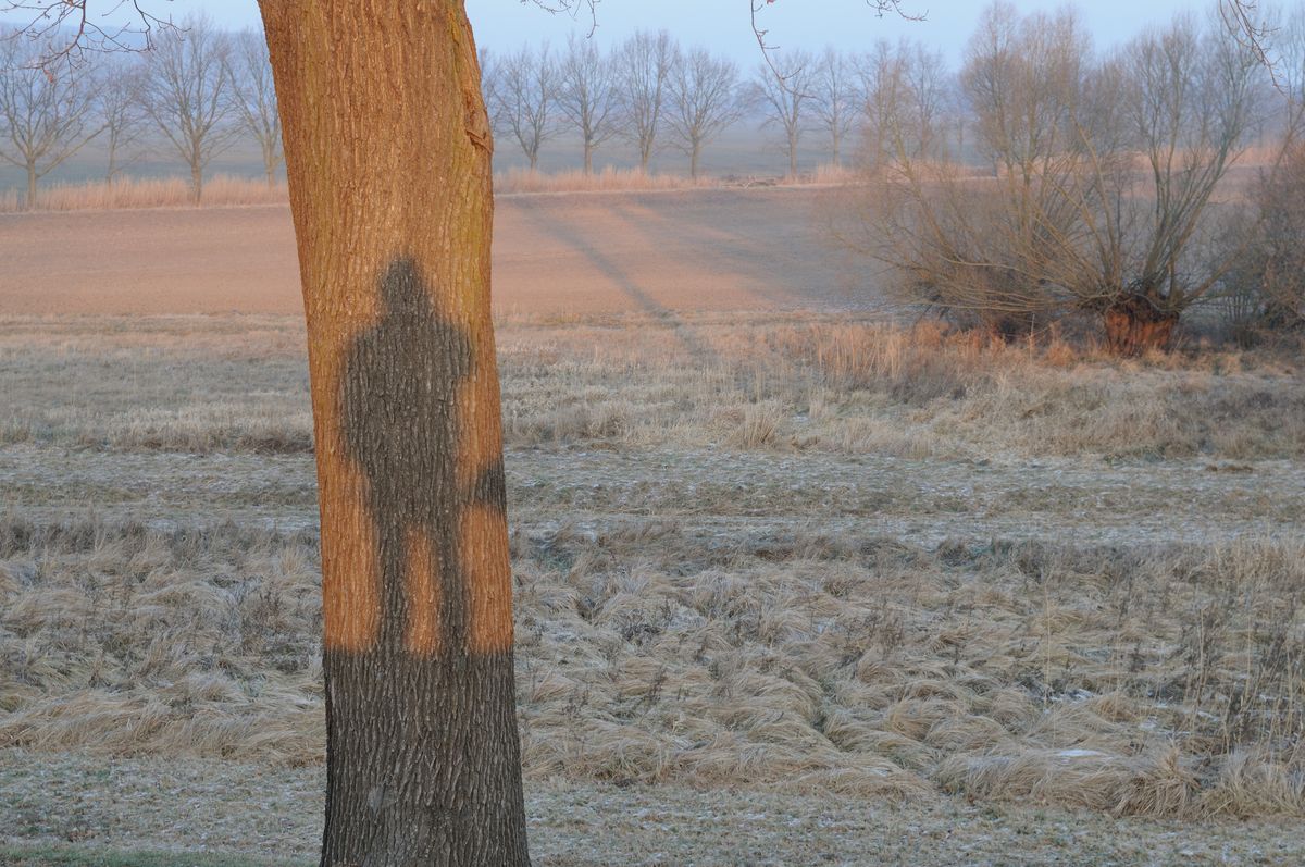 Morgensonnenschatten.