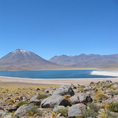 chile-andrea-4