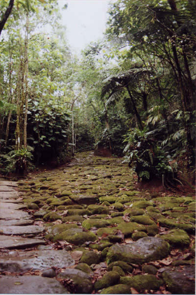 brasilien-martin-1