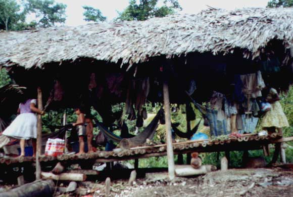 venezuelakati5
