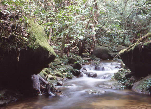 malaysia-andi-1