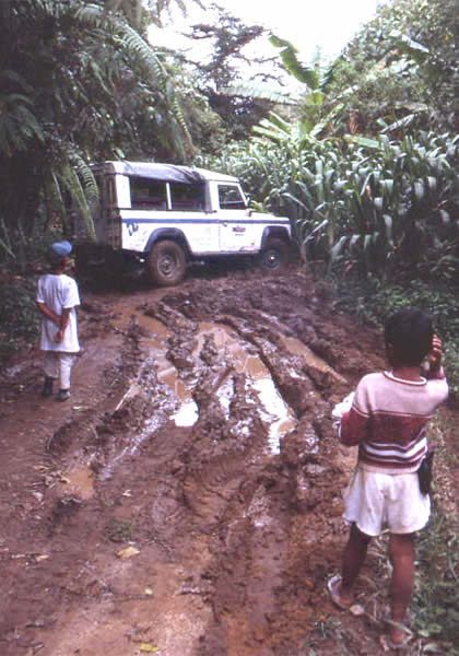 malaysia-andi-4