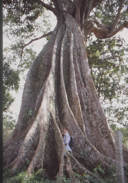 indienpeter1