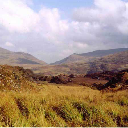 irland-jonas-1