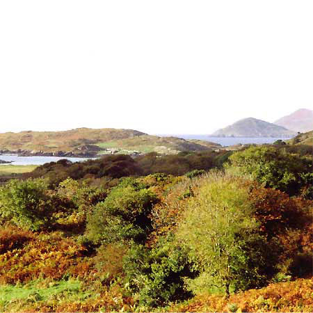 irland-jonas-6
