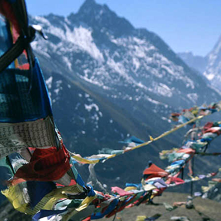 nepaltorsten3