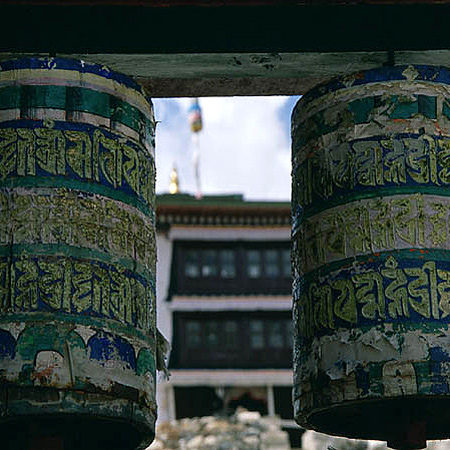 nepaltorsten5