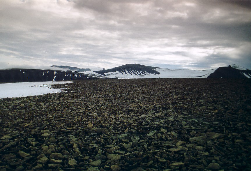 norwegenralf3