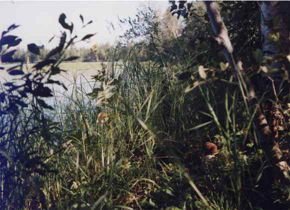 schwedenfinnlandsusejana3