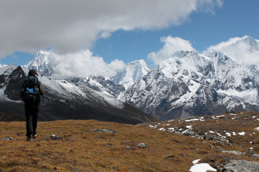 auf-einer-yakwiese-auf-4000-m