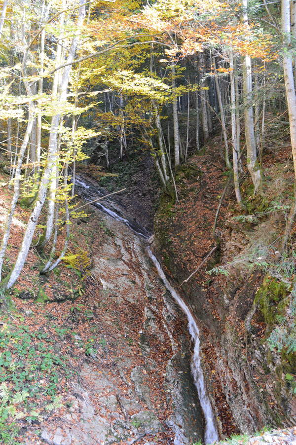 dsc_0952