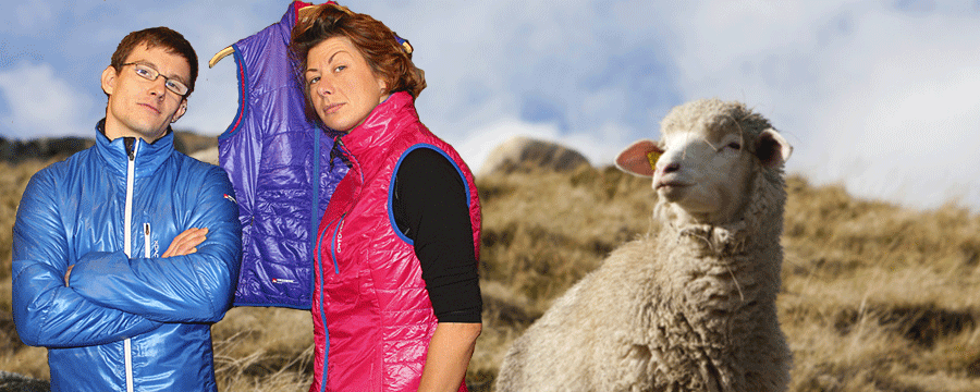 WestenundSchaf_slider