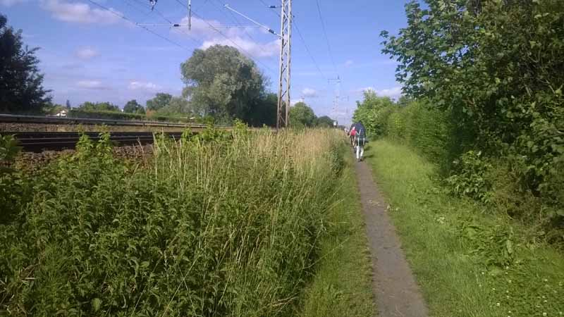 wp_20140620_0066