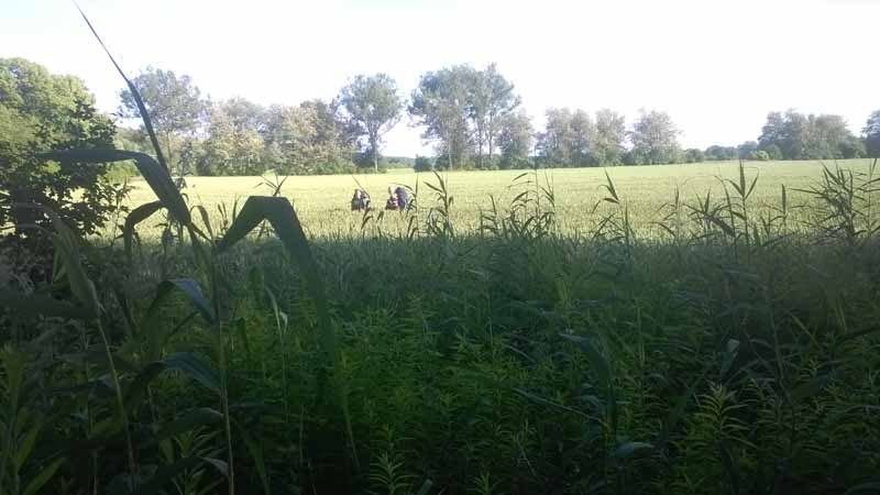 wp_20140620_0077