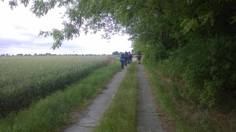 wp_20140621_00119