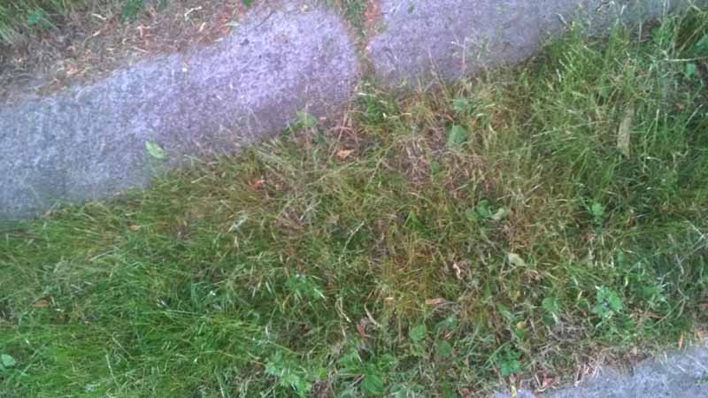 wp_20140621_00220