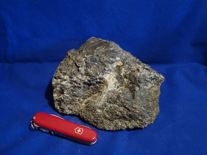stein03