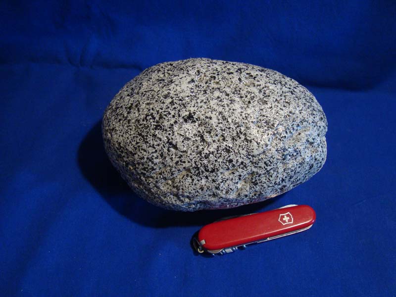 stein08