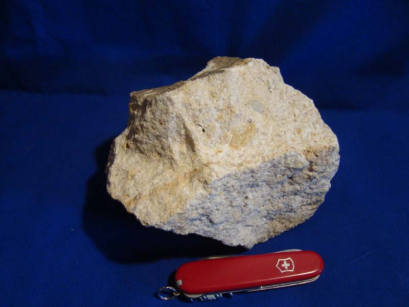 stein09