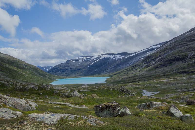 04-typische-norwegische-vegetation-der-hochlagen
