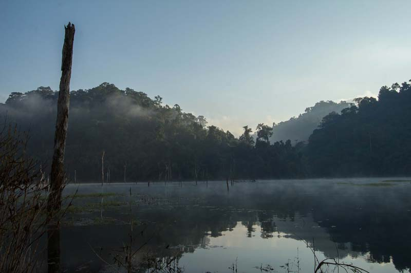 01-reste-des-morgendlichen-nebels