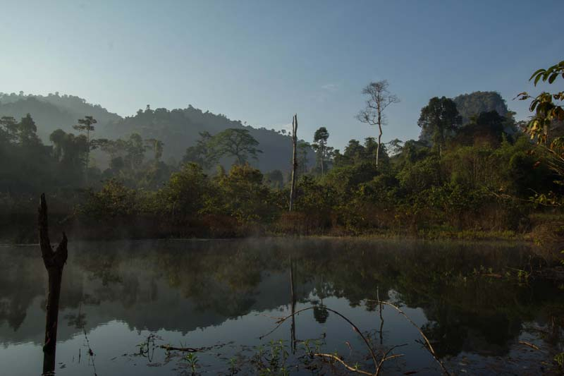 02-auf-dem-wasser-durch-den-urwald