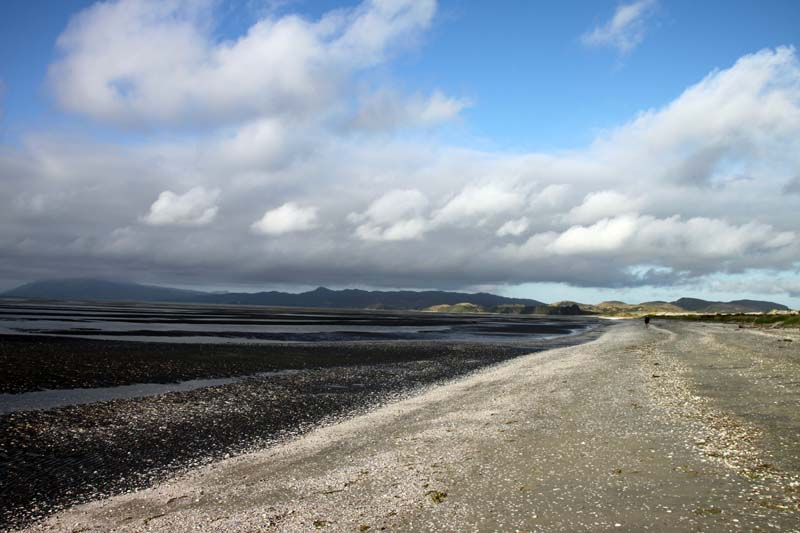 11-inner-beach-in-farewell-spit