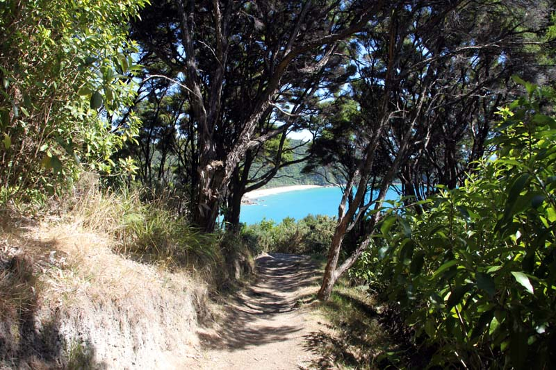 14-abel-tasman-coast-track
