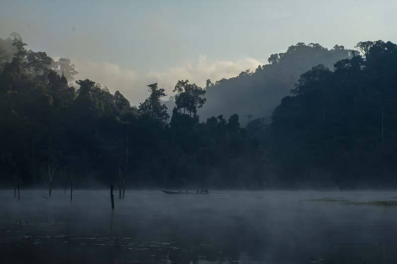 18-morgennebel-am-see