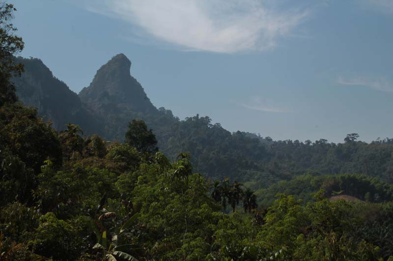 23-dicht-bewachsene-karstberge-bestimmen-die-landschaft