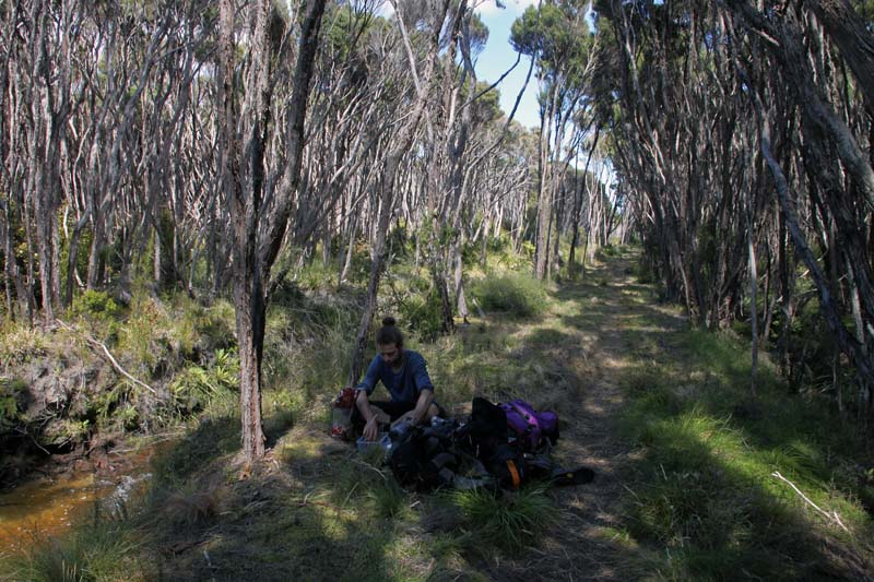 35-stewart-island