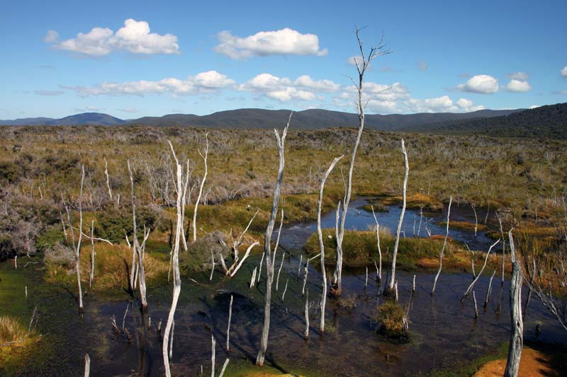 36-stewart-island
