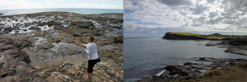 In Catlins Curio Bay fragten wir uns: Wo sind die Pinguine?
