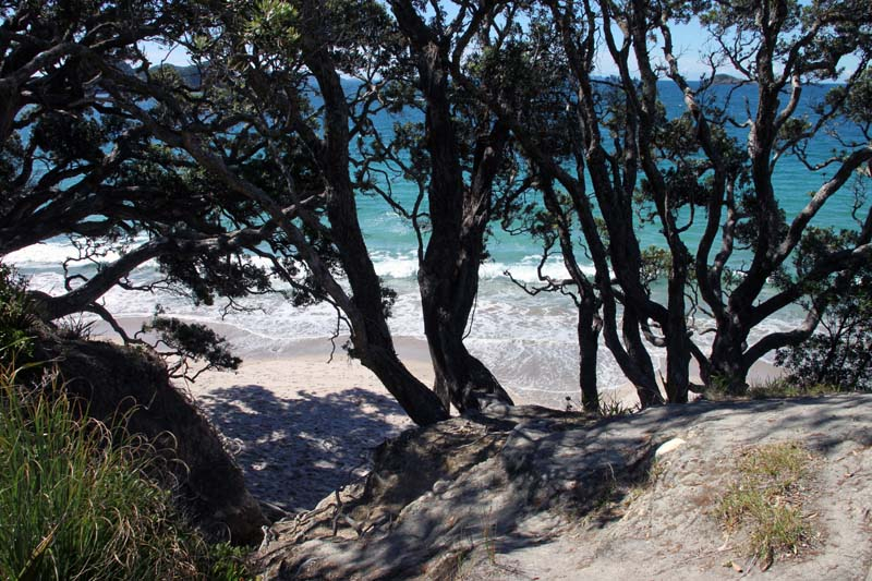 40-coromandel-peninsula-hahei